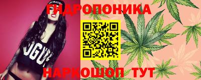 дживик Сланцы