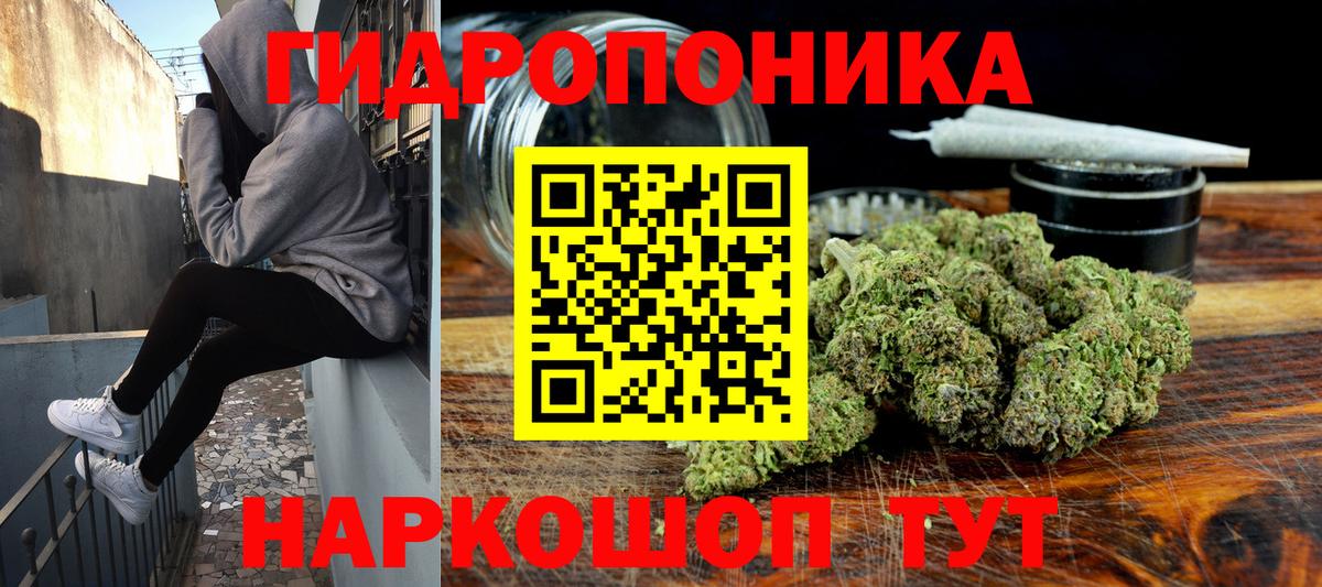 Бошки Шишки OG Kush Белгород